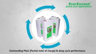 EverExceed LC Range Lead Carbon Battery [upl. by Rosse]