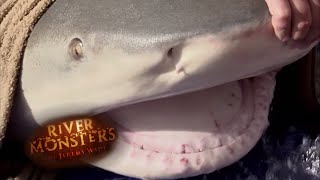 Jeremy Catches One Of The Largest Bull Sharks Ever Caught  SHARK  River Monsters [upl. by Goar]