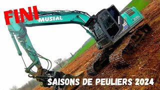 derniers chantier de peupliers 2024 curage de fossés broyage plantation kobelco sk 180 [upl. by Assilaj]