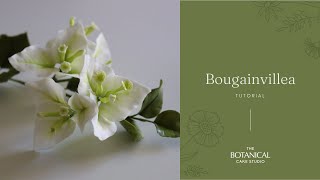 Bougainvillea Sugar Flower Tutorial Gumpaste  Flower Paste [upl. by Nicholas]