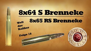 8x64 S Brenneke  8x65 RS Brenneke  Welt der Kaliber  Folge 18 [upl. by Atikram]