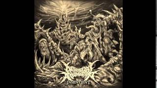 Pathological Abomination – Insentient Full Album 2014 [upl. by Gaudette]