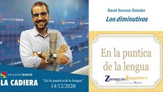 Los diminutivos  David SerranoDolader 14122020 [upl. by Cleo]