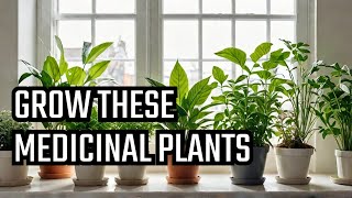 Top 10 Medicinal Plants You Can Grow at home [upl. by Ellehsad]