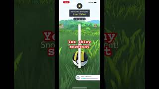 I just failed a shiny sentret fyp shinyfail sentret pokemongo shots pokemon [upl. by Thoma]