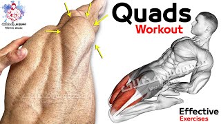 6 Easy Exercises Quadriceps Workout  Leg Day [upl. by Glass503]