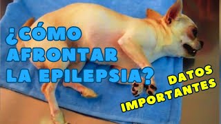 Epilepsia Canina La Historia de Cloe y su Lucha por la Salud [upl. by Romeyn]