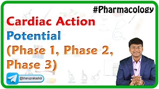 Cardiac Action Potential Phase 1 Phase 2 Phase 3 [upl. by Lucita]