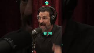 The Science of Smell How Odors Influence Our Behavior jre joerogan [upl. by Elison]