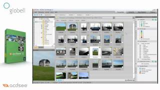 ACDsee Fotomanager 12  Erste Schritte [upl. by Darbie]