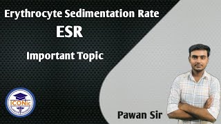 ESR  Erythrocyte Sedimentation Rate  Important topic  What Does This Lab Test Really Mean Pawan [upl. by Desdee571]