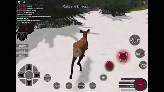 cenozoic survival  the life of an elk  Roblox [upl. by Lina]