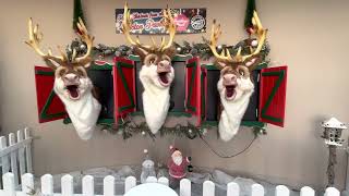 Singing reindeers [upl. by Benedetto]