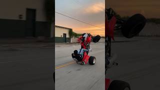 Wheelies into sunset 🌅🌴 miami trx450 florida [upl. by Naujat]