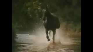 Black Beauty Theme Galloping Home  Denis King 1972 [upl. by June]