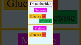 Monomer units of disaccharides sucrose lactose maltose and cellobiose chemistry [upl. by Mailliw]