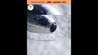 Amazing microscopic video💯😮🥰 [upl. by Iand]