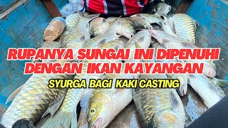 Seru Terjumpa lubuk mahseer Ikan semah Sarawak [upl. by Yltneb]