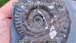 A Beautiful Hildoceras Ammonite found by Jake Whitby fossilhunting ammonites fossils shorts [upl. by Borchers339]