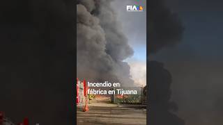 ¡NO BOB ESPONJA  Se incendia fabrica de esponjas en Tijuana desalojan a más de 50 empleados [upl. by Zacharia]