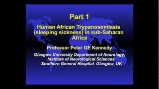 Distinguished Lecture Series Professor Peter KennedyPart 1 [upl. by Sualkcin]