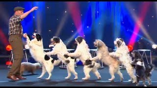 Wolfgang Lauenburger  Dressage de Chiens  Le Plus Grand Cabaret Du Monde [upl. by Clementas]