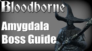 Bloodborne  Amygdala Boss Guide no items no damage taken [upl. by Bessy]