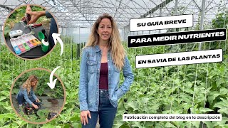 Cómo medir nutrientes en savia de plantas en el campo medidores LAQUAtwin demo [upl. by Matthaeus]