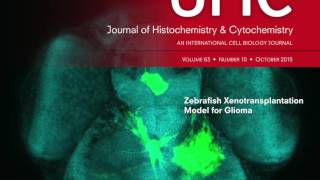 Journal of Histochemistry amp Cytochemistry slideshow [upl. by Nilesoj251]