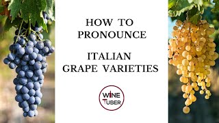 Pronouncing common Italian grape varieties  WineTuber [upl. by Selwin306]