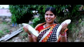 Deogarhs Aquatic Bounty Pioneering Freshwater Fish Farming amp Empowerment [upl. by Cilegna699]