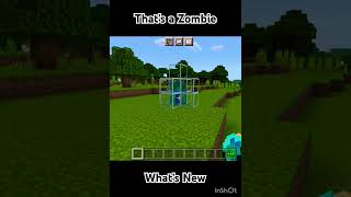 ZOMBIE TURNED INTO DROWNED  MINECRAFT [upl. by Lilybel]