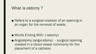 otomy ectomy ostomy [upl. by Naujid874]