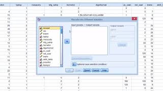 SPSS Verileri Yeniden Kodlama [upl. by Oliviero628]