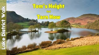 Tom Heights Hike amp Tarn Hows Walk Stunning Lake District Views [upl. by Magill402]