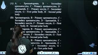 The following refers to spermatogenesis and oogenesis in human Identify A to H correctly [upl. by Anialeh]