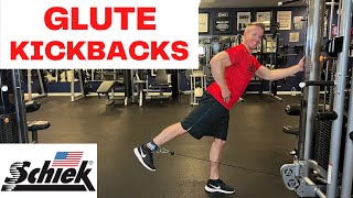 Glute Kickbacks On Cable Machine  Ankle Strap Exercises Glutes  Glute Pressbacks  Schiek Inc [upl. by Notnroht974]