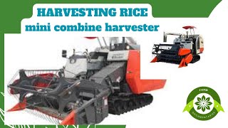 Kubota DC70G Mini Combine Harvester in Action 🚜🌾  Rice Harvesting Extravaganza [upl. by Theurich]