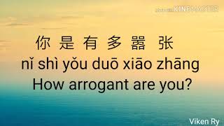 嚣张 Xiāo Zhāng Arrogant Lyrics 歌詞 With Pinyin amp English Translation [upl. by Lledniuq508]