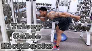 Tricep Cable Kickbacks  Fitness Kensho [upl. by Alix]