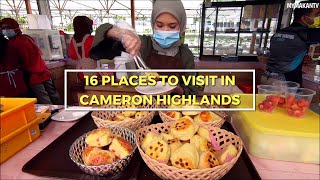 Cameron Highlands Holiday Guide  16 Places To Visit  Malaysian Street Food [upl. by Raimundo]