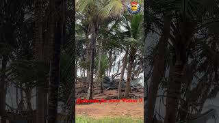 රුවල් ඔරුව  Kosgoda Beach Sri Lanka 🏝️ 🌅🌊 beach beachvibes srilankanbeach shorts [upl. by Tamis]