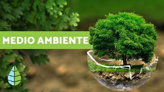 ¿QUÉ ES EL MEDIO AMBIENTE  Definición y resumen [upl. by Moulden]