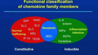 Sepsis Dysregulated Cell Trafficking in Sepsis [upl. by Imelda]