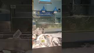 Live fish available in lulu hypermarket doha ayeshajuwairiya luluhypermarket qatar livefishing [upl. by Norb]