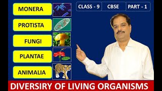 Diversity In Living Organisms  Five Kingdom Classification Part 1 [upl. by Paddie]