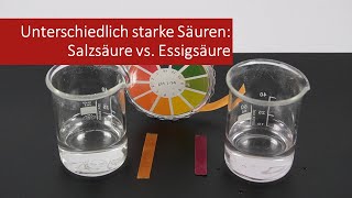 Unterschiedlich starke Säuren Salzsäure vs Essigsäure [upl. by Gnanmas]