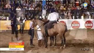 Canal Campo Tv Horse Videos del Festival de Jineteadas Jesús María 2019 Rural Agro [upl. by Eedahs]