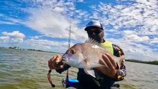 Brisbane River Snapper bag out from a Jet Ski Jet ski fishing [upl. by Ecilahc269]