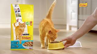 Friskies® la marque préférée des chats [upl. by Rudolf]